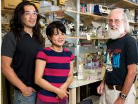 What Can the Water Monster Teach Us about Tissue Regeneration in Humans? (2 of 2)