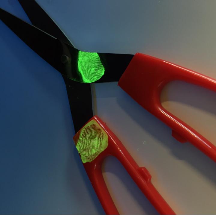 Fingerprints on Scissors