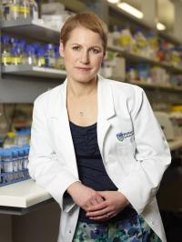 Dr. Kylie Mason, Walter and Eliza Hall Institute and the Royal Melbourne Hospital (2 of 2)