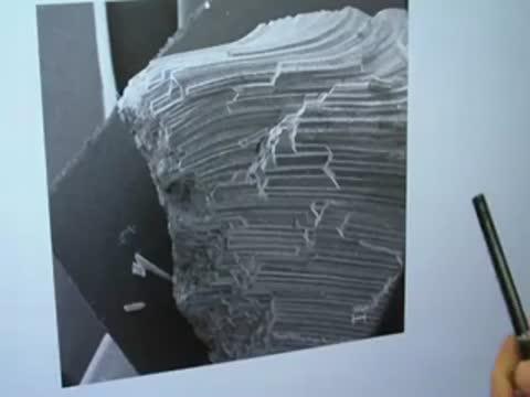 Richest Marine Reptile Fossil Bed along Africa's South Atlantic Coast Is 71.5 Mya