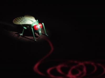 Cartoon of Remote-Controlled Fly