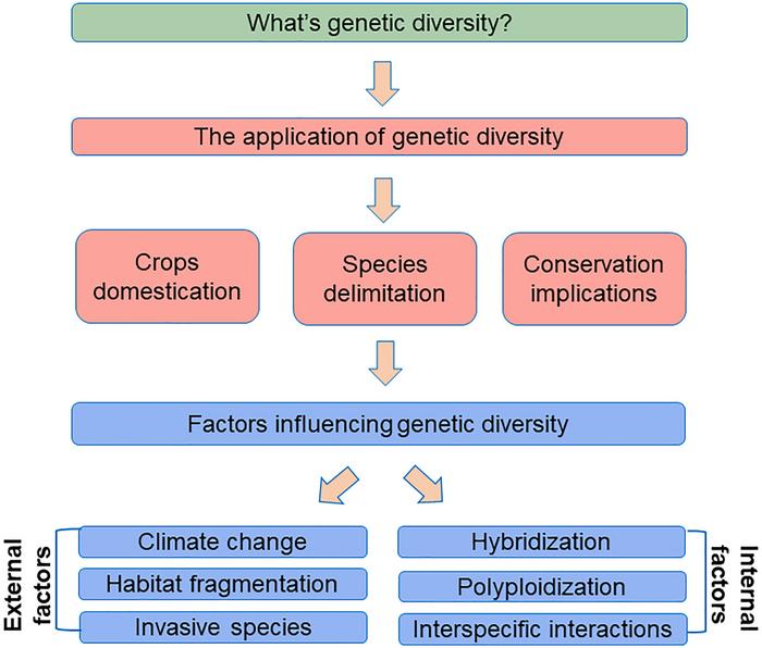 Genetic diversity
