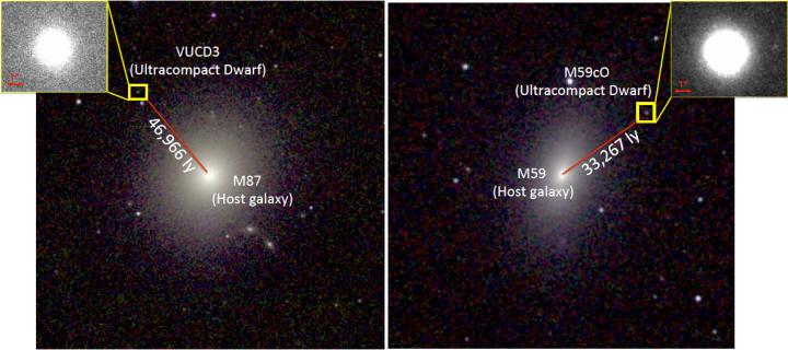 Supermassive Black Holes Found in Tiny Remnants of Stripped Galaxies