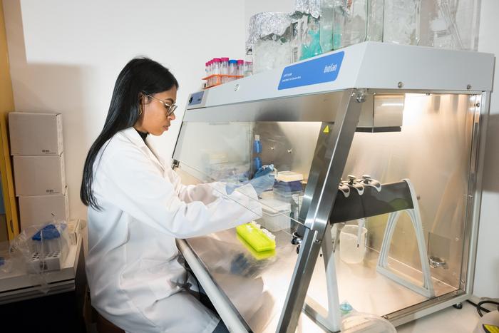 Dr Smith works with specialised gene editing techniques to arrest hepatitis B virus in its tracks