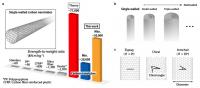 Carbon Nanotubes