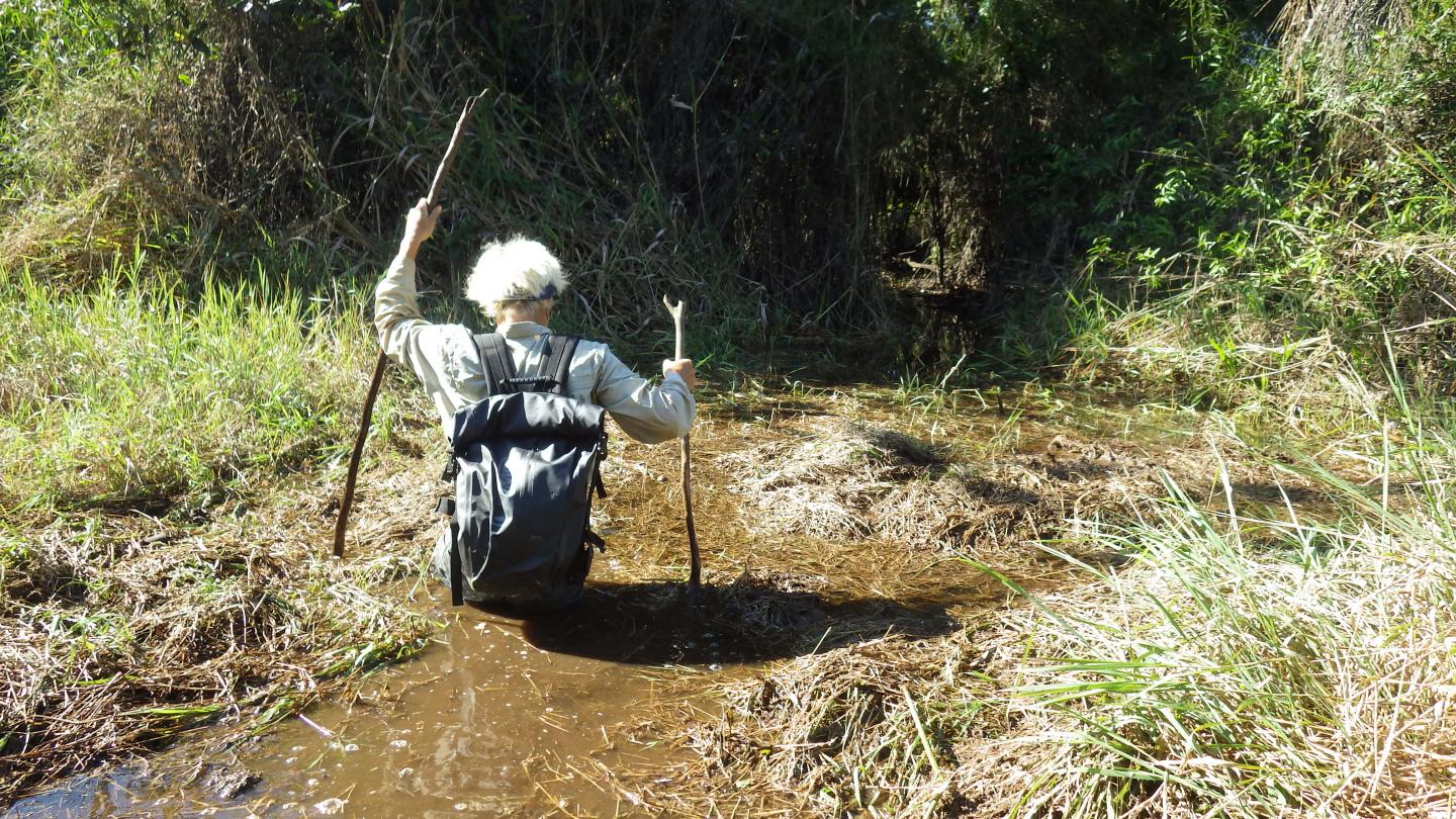 Fieldwork (3 of 3)