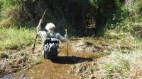 Fieldwork (3 of 3)