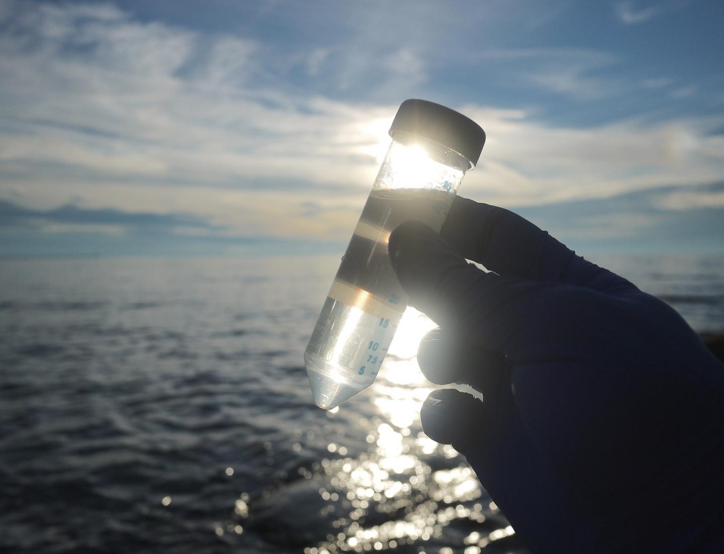 Toward Decoding the Metabolism of Microbiomes (1 of 3)