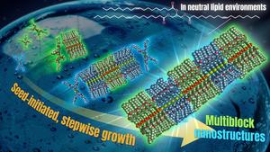 Nagoya University Researchers Advance Innovative Scientific Research