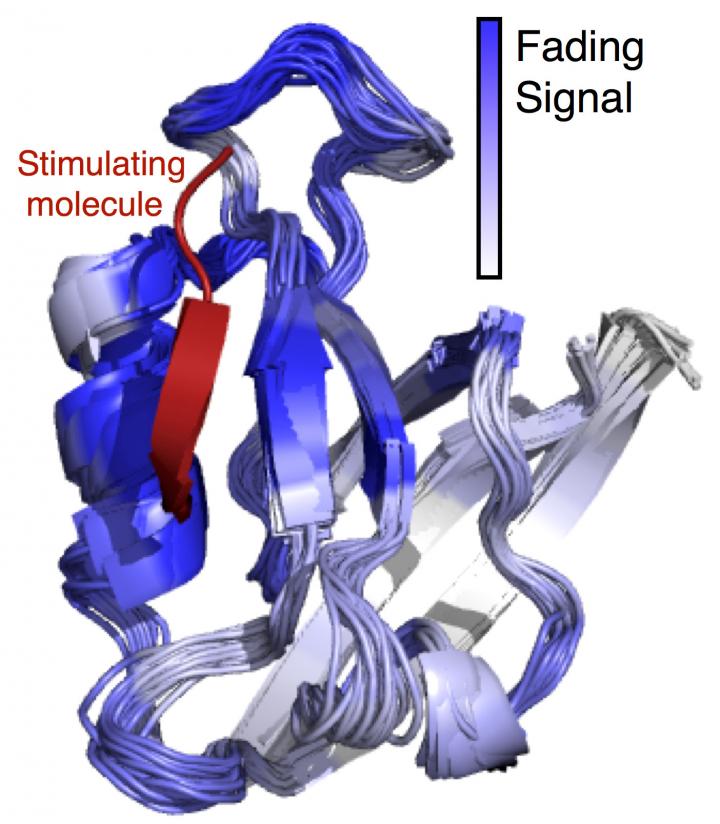 Machine Learning-Based Analysis of the Signaling Pathways Found inside Amino Acids Found in Human