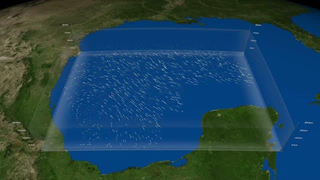 NASA HS3 Hurricane Animation Paints Colors of the Wind