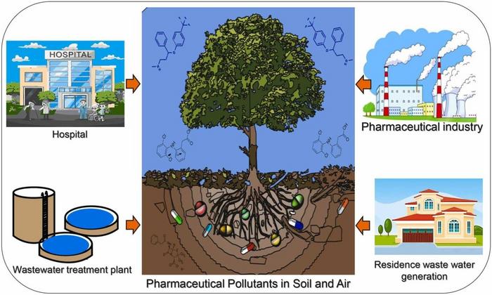 Graphical Abstract