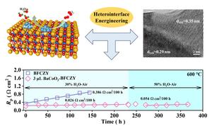 the heterointerface engineering with BCO-BFCZY enhanced the activity and stability of the oxygen electrode.