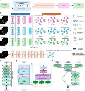The RST2G model is a novel framework.
