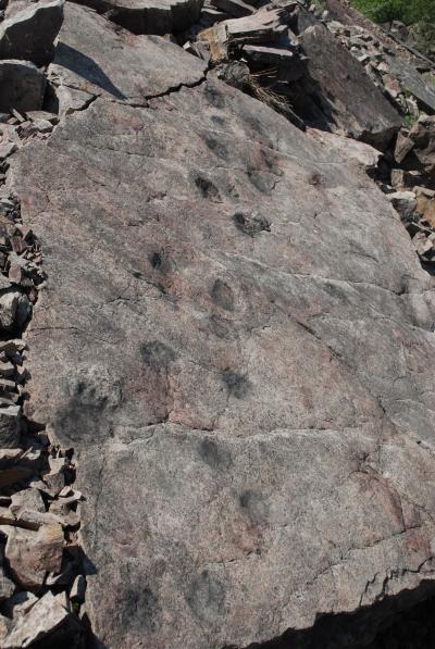 Footprint (1 of 2)