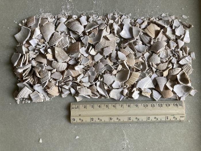 Crushed shells and sand