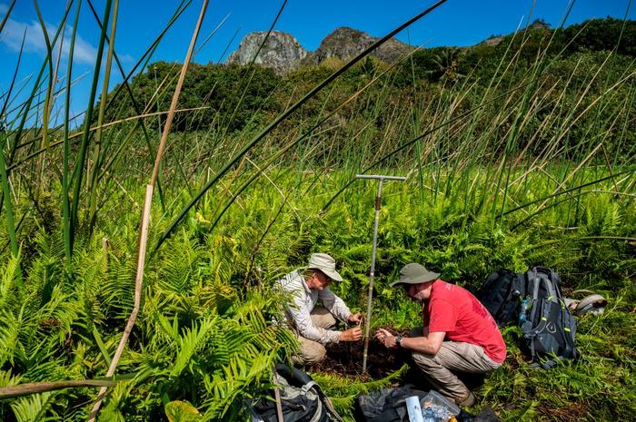 Swamp coring