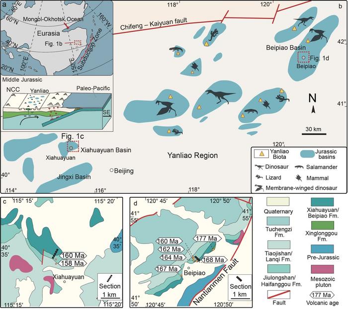 Geological setting of the Yanliao Biota