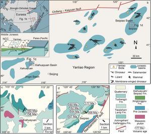 Geological setting of the Yanliao Biota