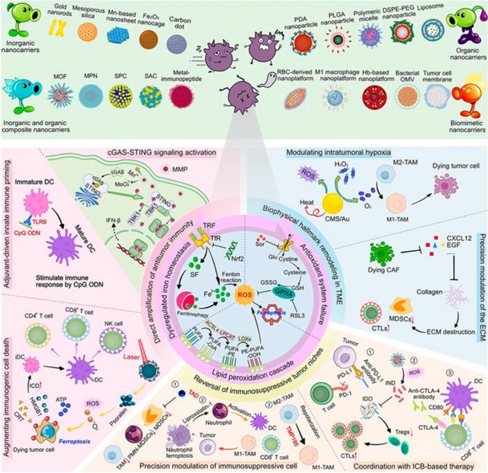 Synergistic Ferroptosis–Immunotherapy Nanoplatforms: Multidimensional Engineering for Tumor Microenvironment Remodeling and Therapeutic Optimization