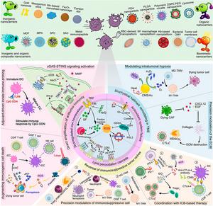 Synergistic Ferroptosis–Immunotherapy Nanoplatforms: Multidimensional Engineering for Tumor Microenvironment Remodeling and Therapeutic Optimization