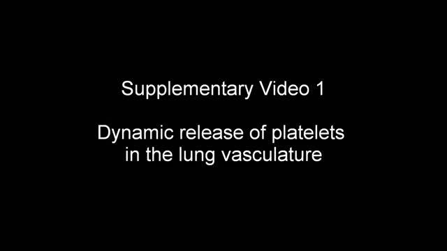 Supplementary Video 1