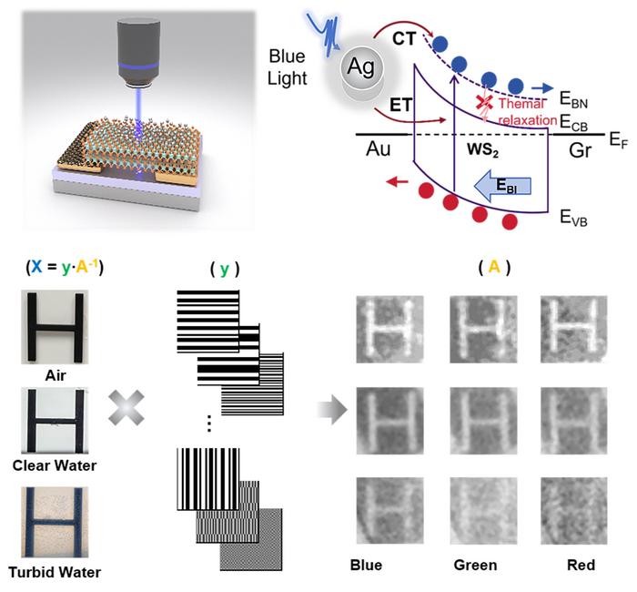 Plasmon-Exciton Synergy Enables Self-Powered WS2 Blue Detector for Underwater Imaging.