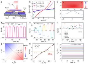 Dual-gate programming of the SrTiO3 photothermoelectric response