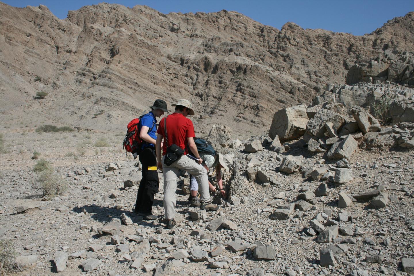 UAE Field Work