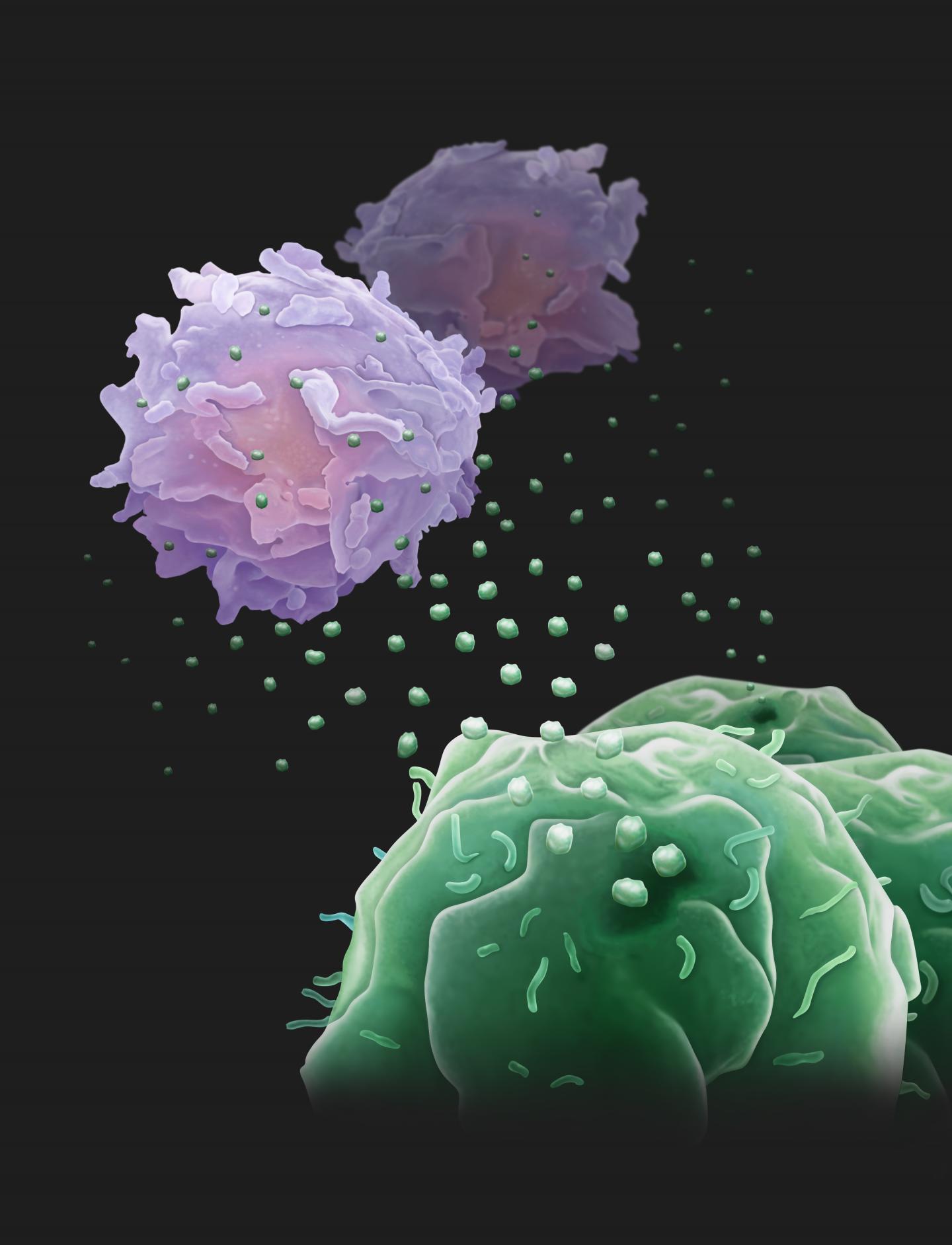 Tumor Drones
