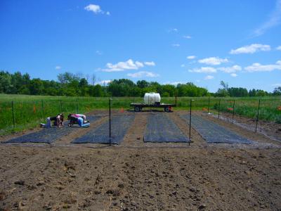 Experiment Set-Up