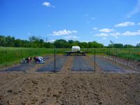 Experiment Set-Up