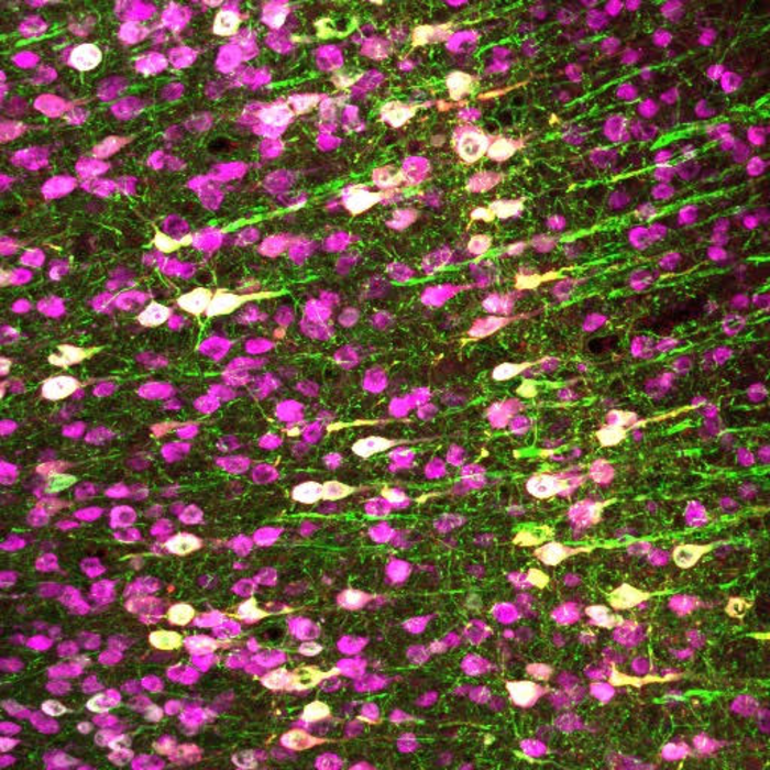 Science image