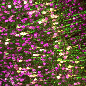 Science image