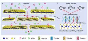 An efficient eDNA sampling tool for high sensitivity aquatic biota detection