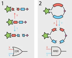 figure2.png