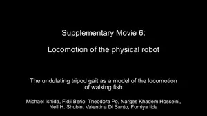 Robot fish could help explain how our ancient ancestors first learned to walk