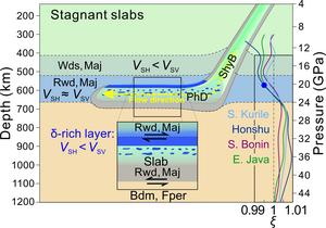 Negative radial anisotropy near stagnant slabs explained by shear-deformed δ-AlOOH/δ-H.