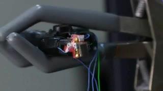 AquaSwarm Robot Fish Project