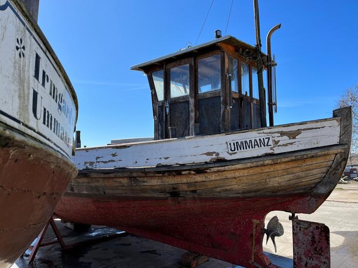 Historic fishery collapse