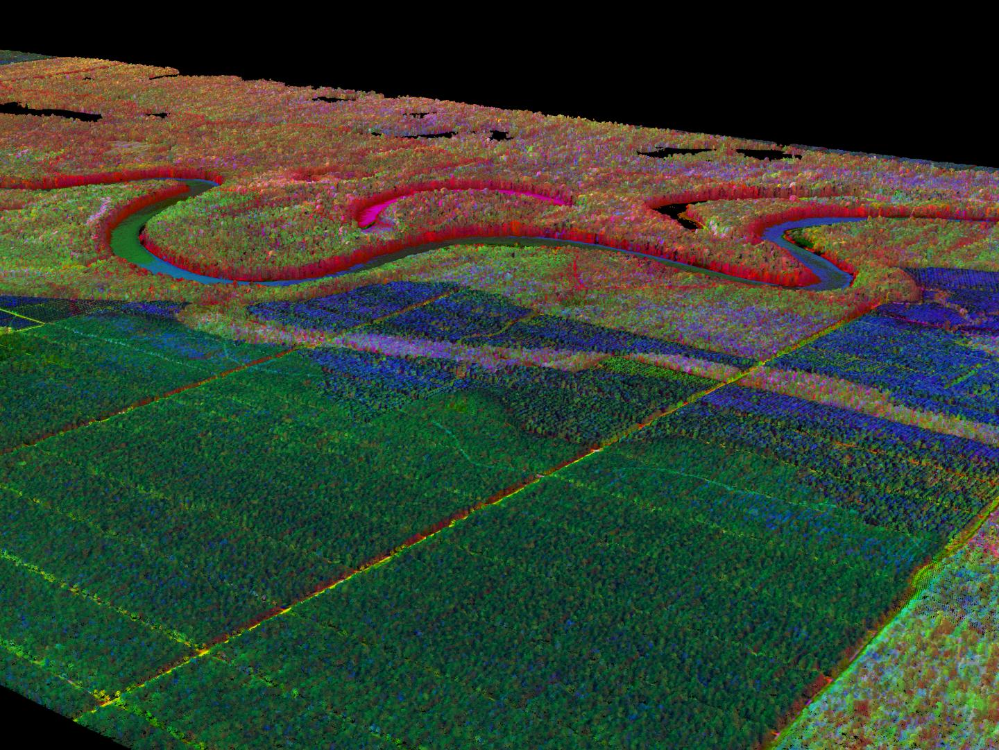 机载激光雷达（LiDAR）扫描和成像光谱得出的彩色图像，&#