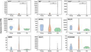 Stage-dependent transcriptomic changes in human dermal fibroblast senescence model
