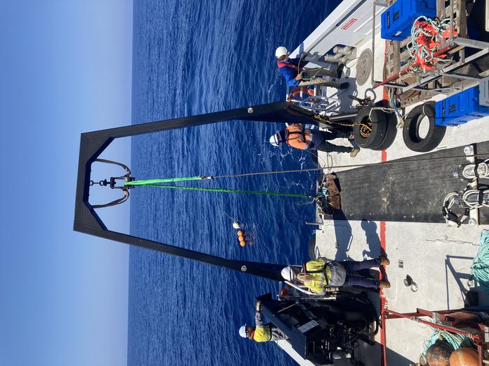 Researchers at sea off the North West Shelf