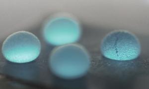 Liquid marble on a hydrophobic oil-infused surface