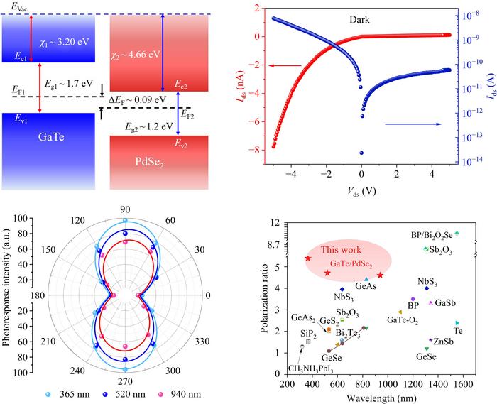 Band-Engineered GaTe/PdSe2 Heterostructure Enables Reverse Rectification and Broadband Polarization-Sensitive Photodetection.