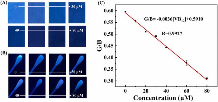 Portable paper-strip and cotton-swab sensors for vitamin B12 detection