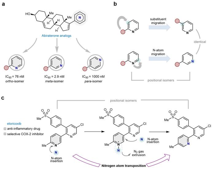Figure 1. Positional isomerization of pyridines through nitrogen relocation