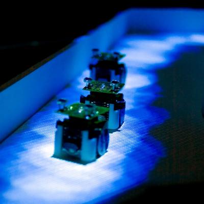 3 Robot Ants (Alices) Pursuing a Light Trail