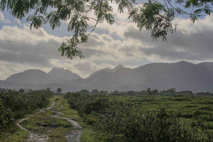 View toward the coastal sand-sea area in Lautem