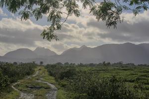 View toward the coastal sand-sea area in Lautem